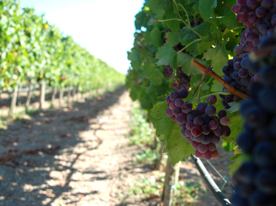 Merill-Qormi必去景点