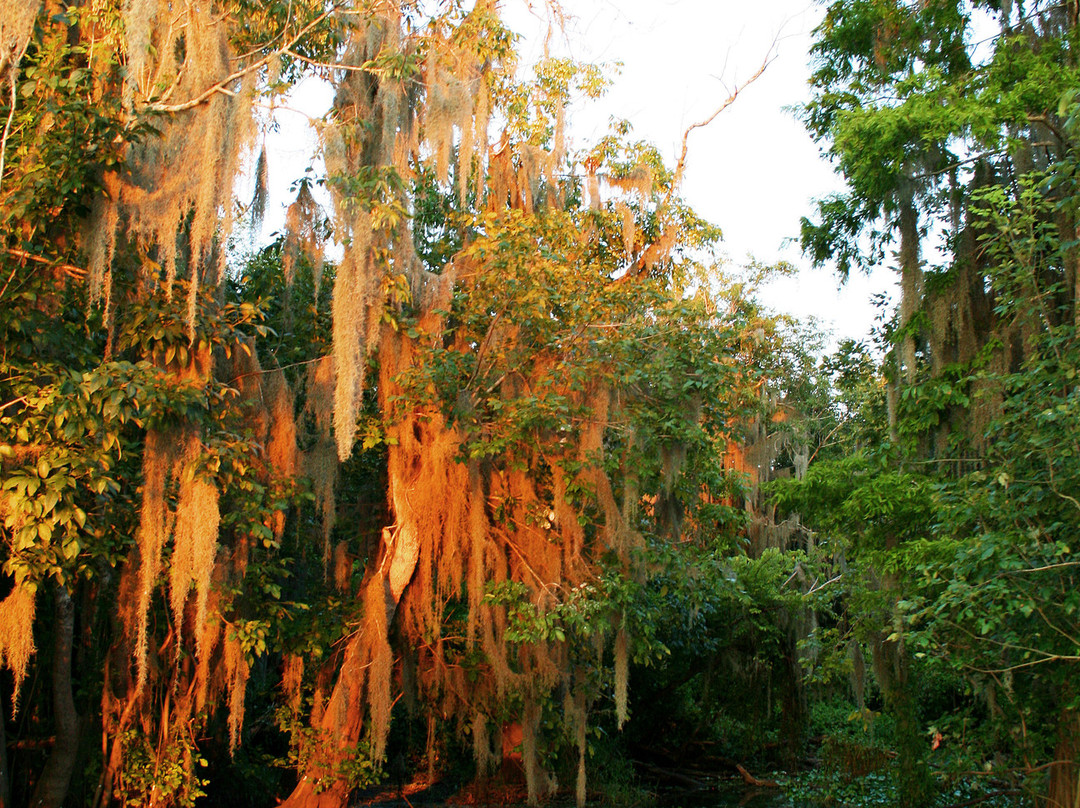 Oviedo旅游攻略图片