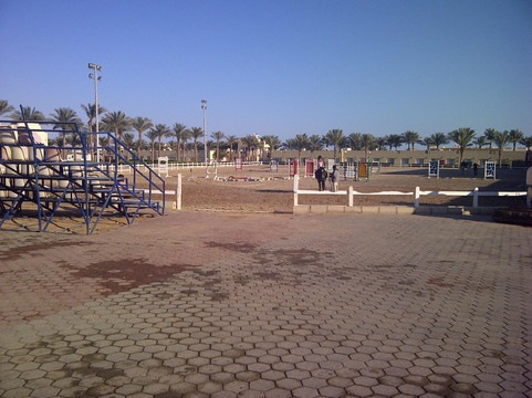 Edelweiss Equestrian Center-沙姆沙伊赫必去景点