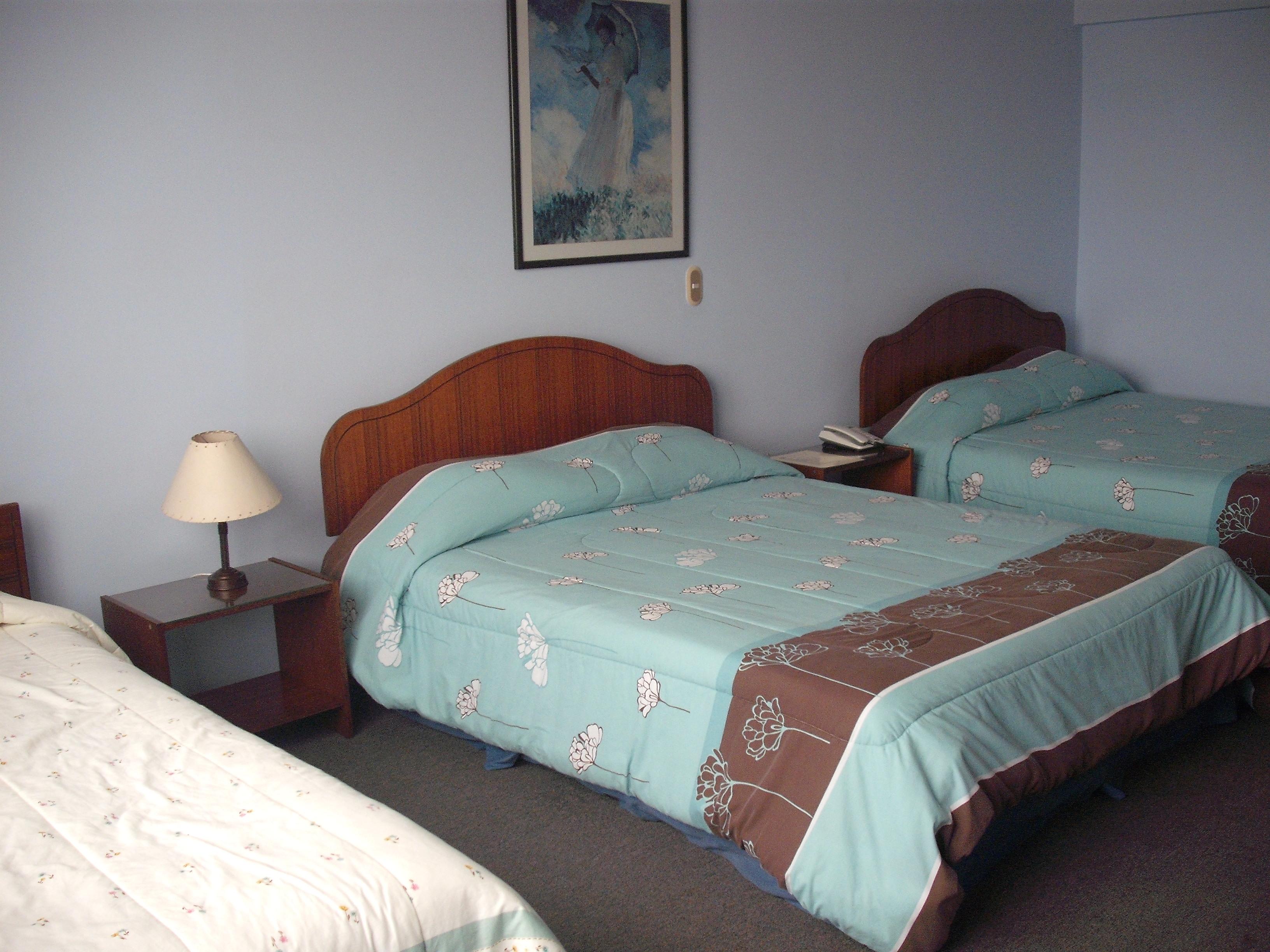 Hotel Barros Arana-客卧