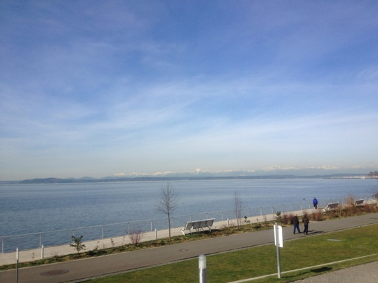 奥林匹克雕塑公园-西雅图必去景点