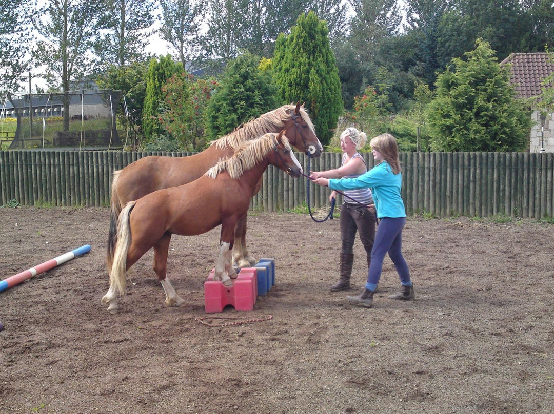Vogrie Riding School-Pathhead必去景点