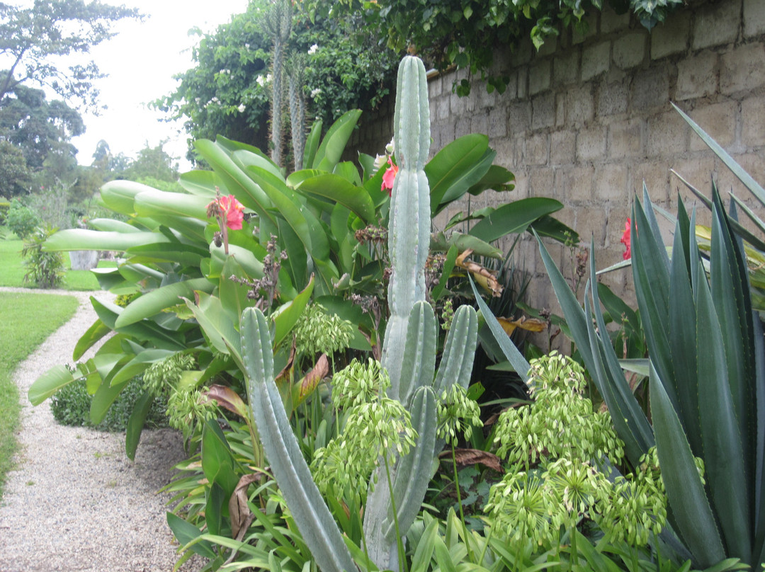 Wayside Guest House主图