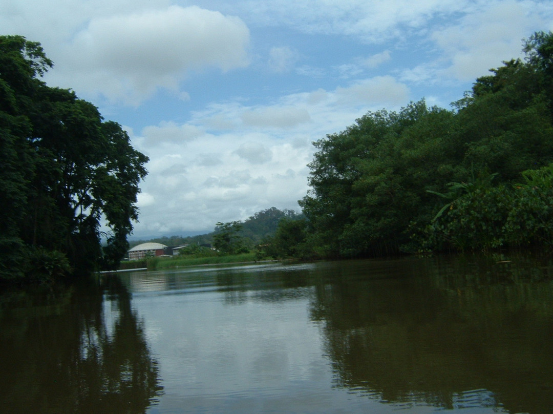 Tortuguero Canal景点图片