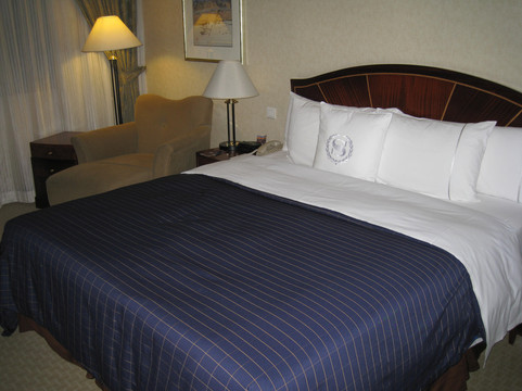 成都天府丽都喜来登饭店（天府广场店）主图