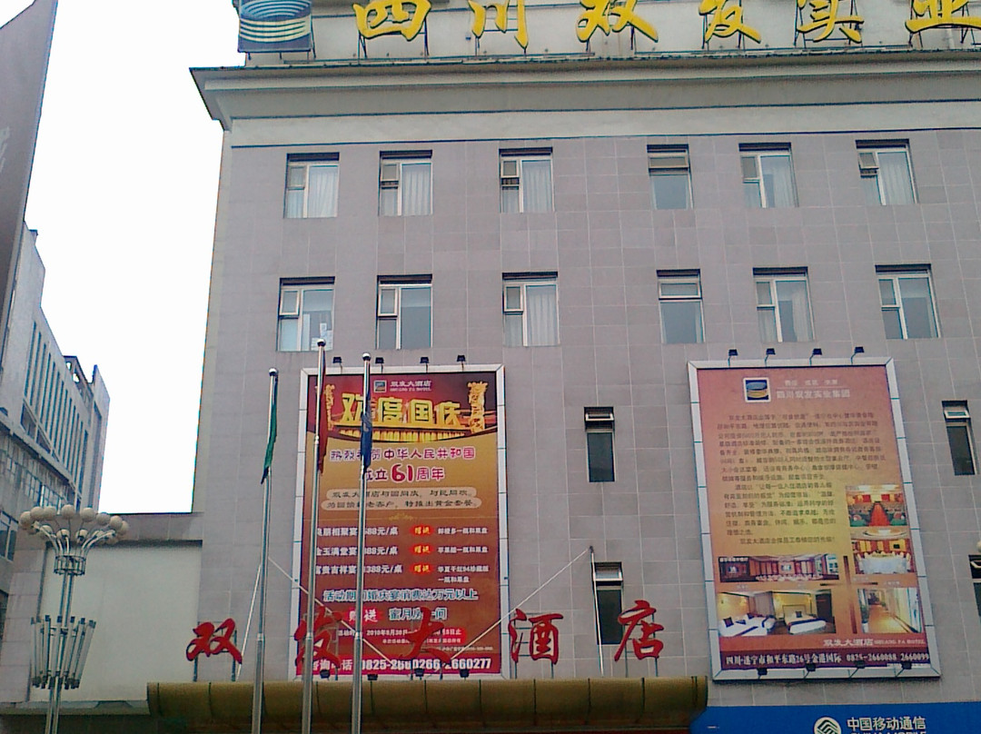 双发大酒店主图