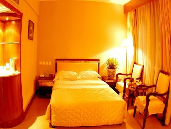 金泰绿洲大酒店主图