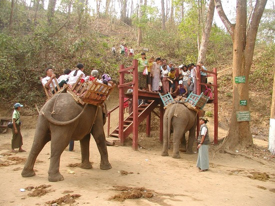 Alaungdaw Kathapa National Park-Sagaing Region必去景点