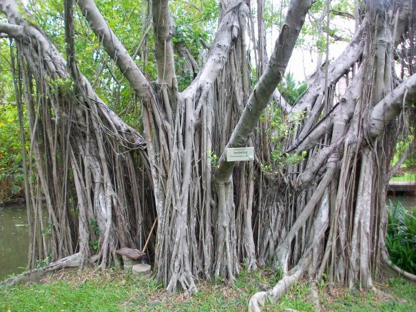 Suan Sampran-三攀必去景点