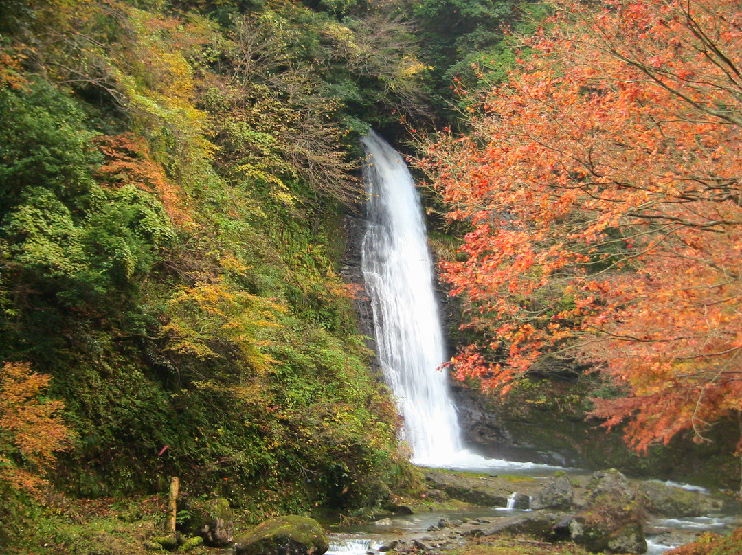 Ase Valley-丰冈市必去景点