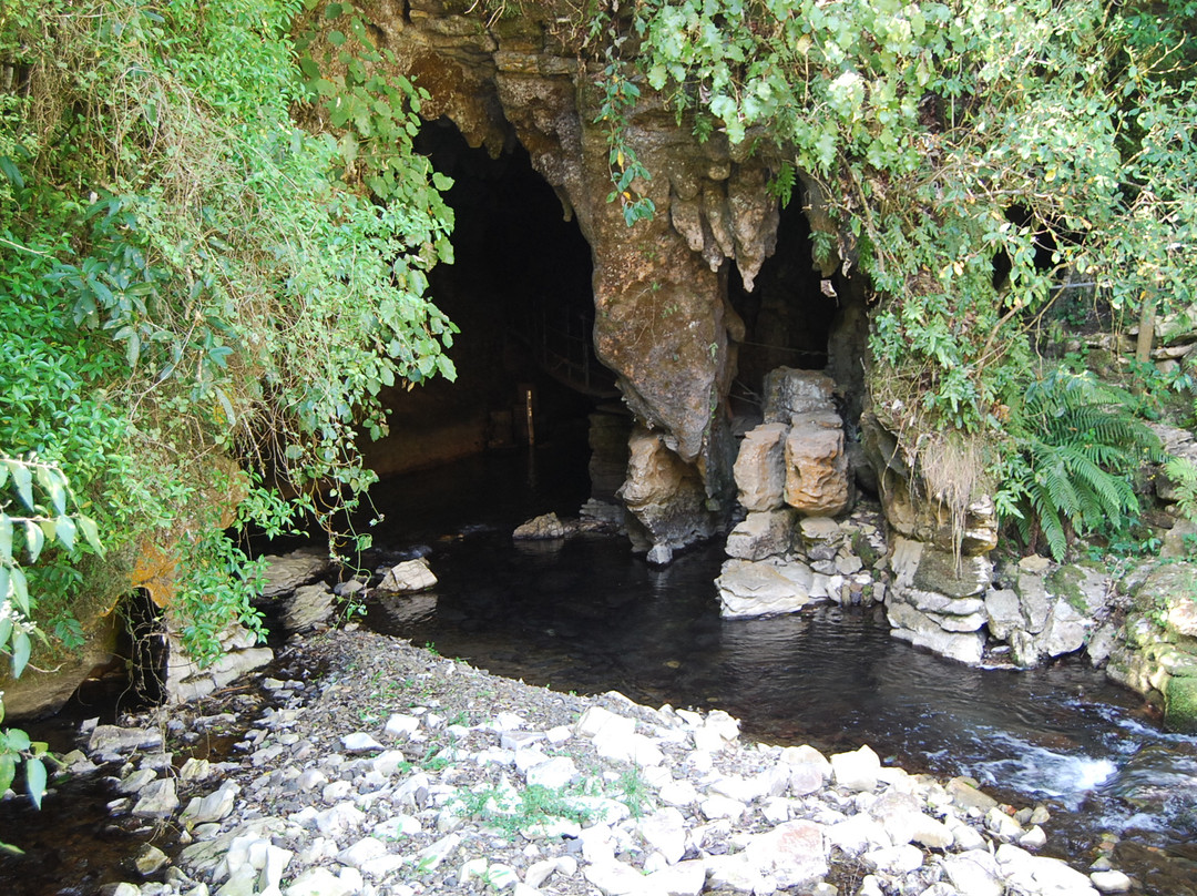 梦幻萤火虫洞之旅-蒂库伊蒂必去景点