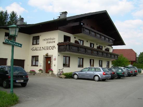 Pension Gallnhof-客卧