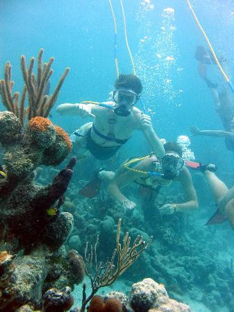 SNUBA Turks and Caicos-普罗维登西亚莱斯必去景点