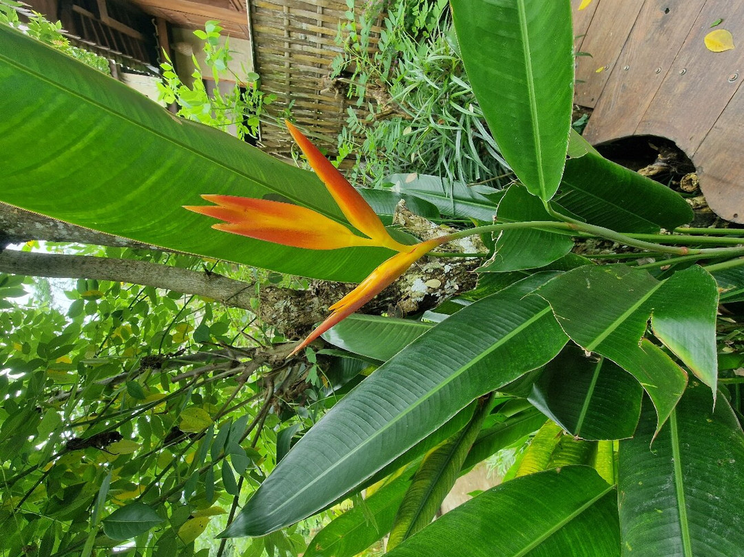 Magatama Villa by Mahaputra