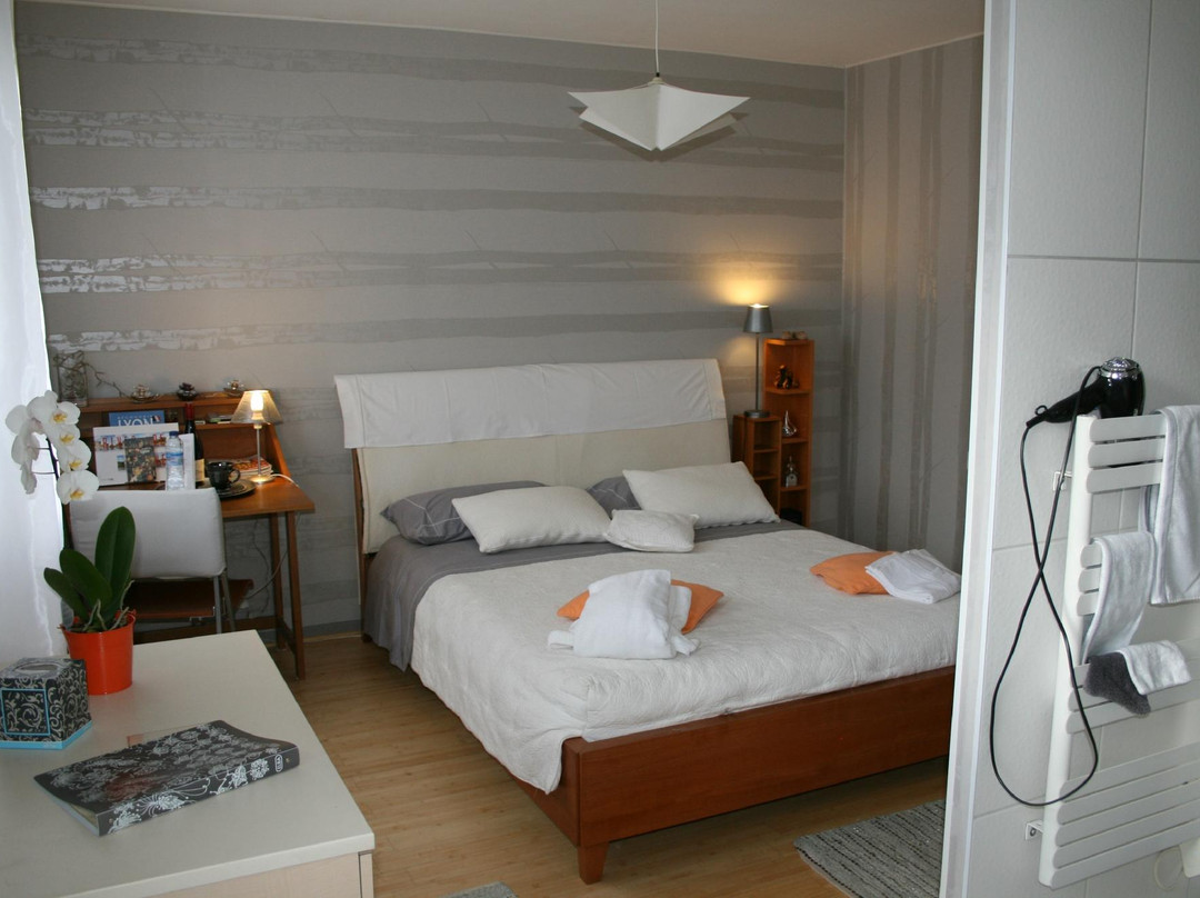 Decines-Charpieu酒店住宿-Aurore Villa Chambres et Tables D'Hotes Lyon