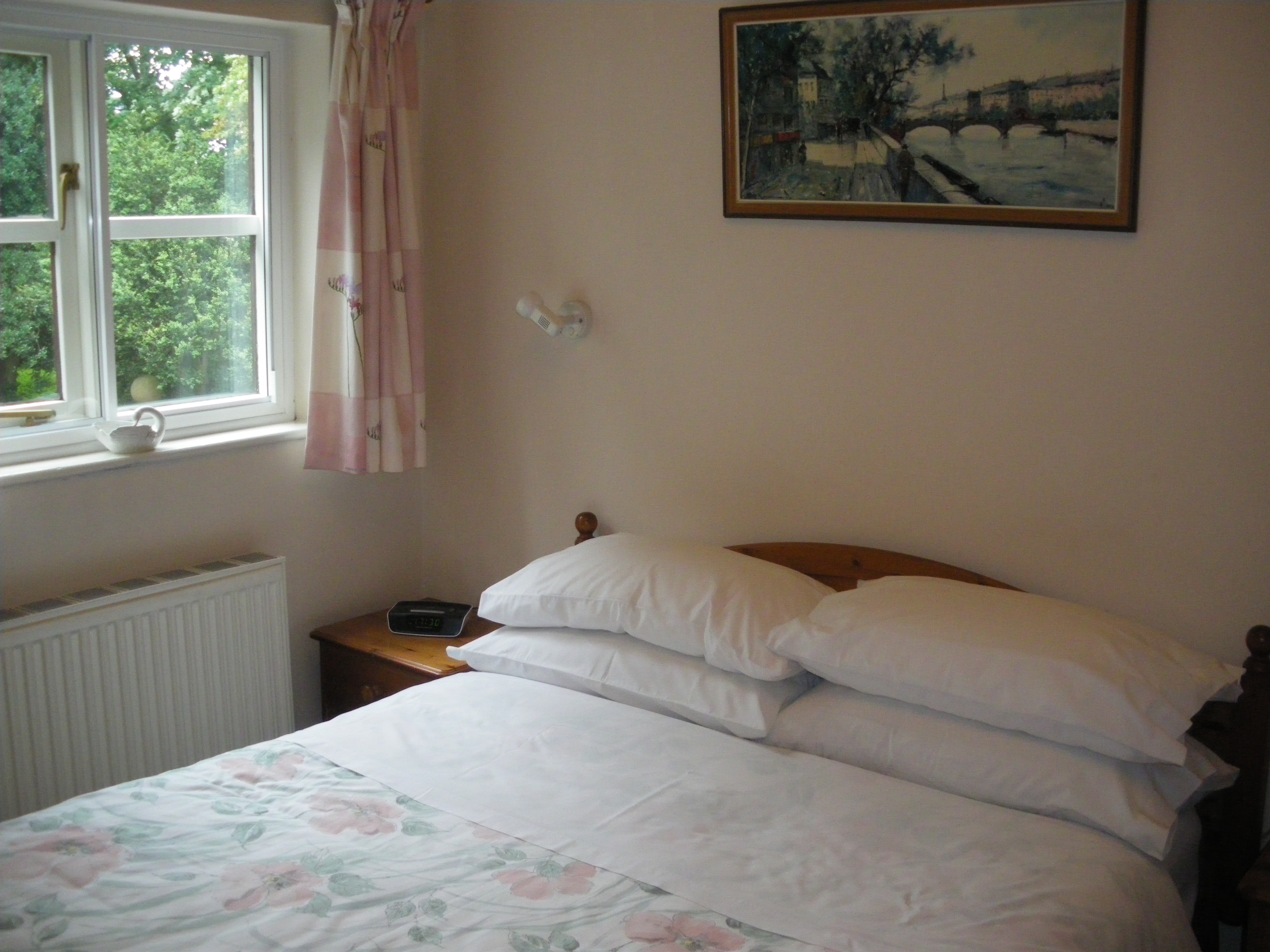 Apothecary's B&B at The Old Dispensary-客卧