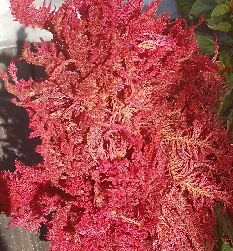 Rincon Sagrado Hotel Boutique & Spa主图