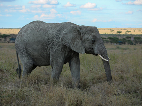 Utmost Travel & Tours