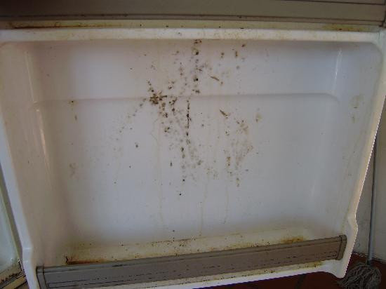 Vivant Student Hostel