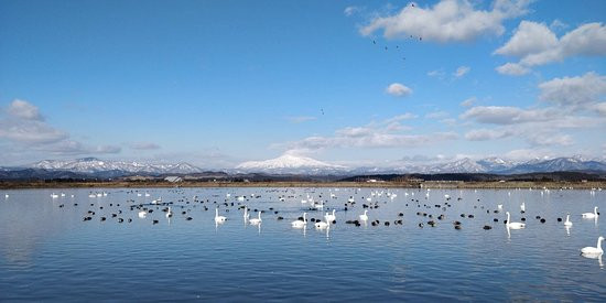 Nonomuratameike Lake景点图片