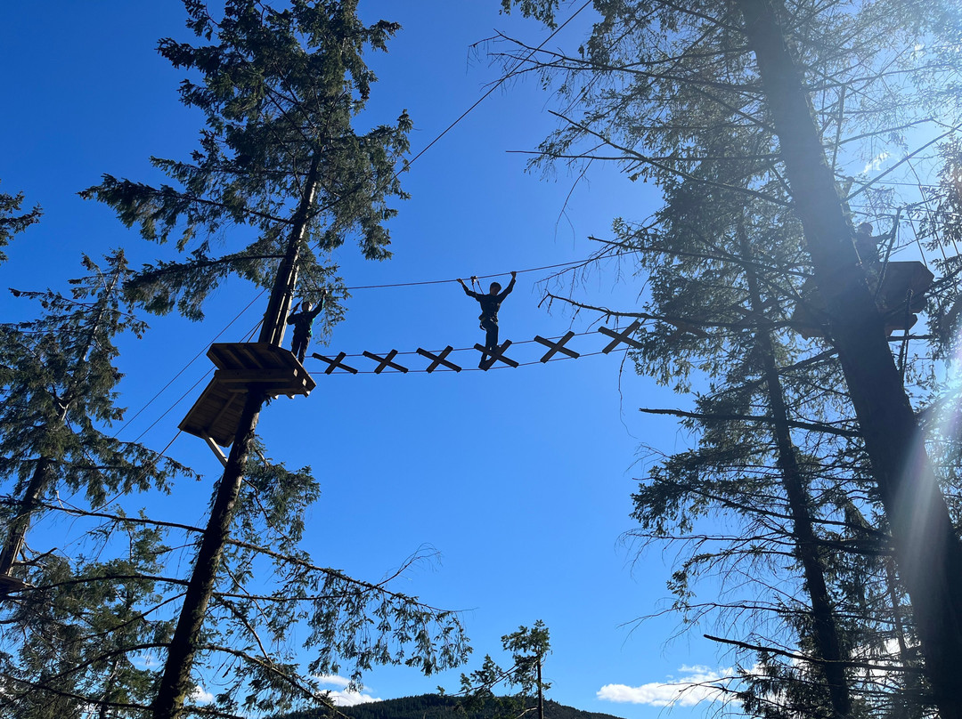 Go Ape Whinlatter-Braithwaite必去景点