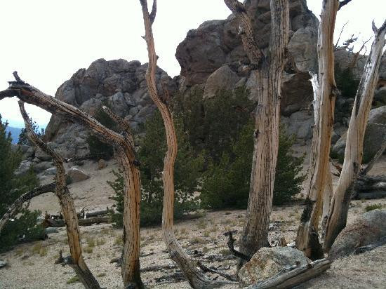 Wanna Ride Tahoe Bike Shuttle & Tours-Stateline必去景点