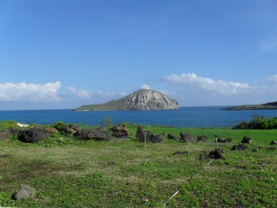 夏威夷海洋公园景点图片
