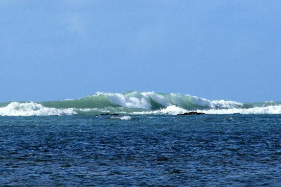 Gales de Maragogi-Maragogi必去景点