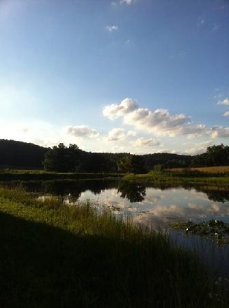 Blue Heron Vineyard & Winery-Cannelton必去景点