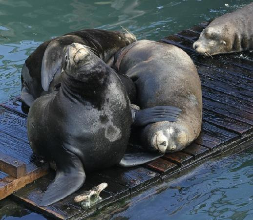 Marine Discovery Tours-纽波特必去景点