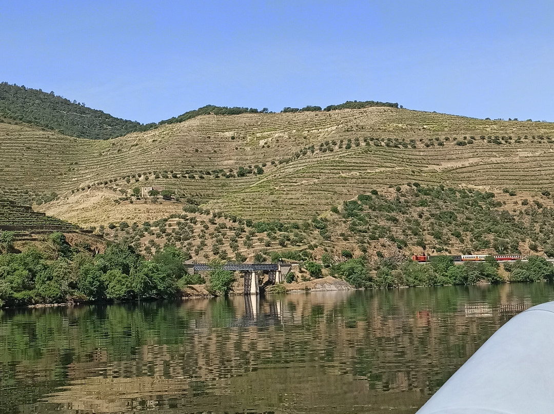 Douro Xperience景点图片