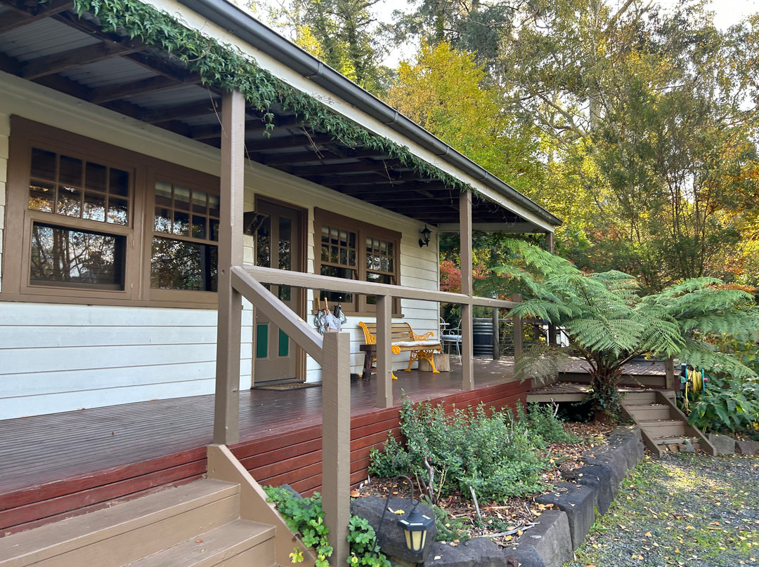 Buttercup Hill主图