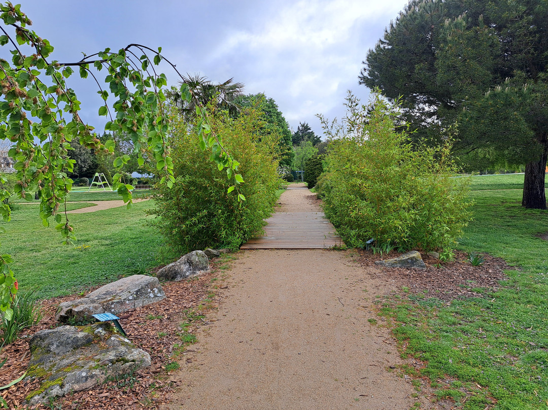 Parc Césarine景点图片