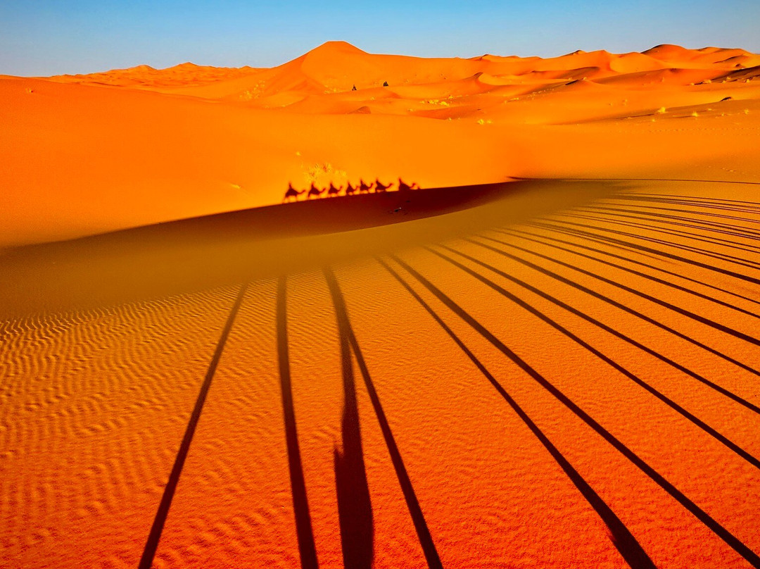 Auberge l'Oasis主图