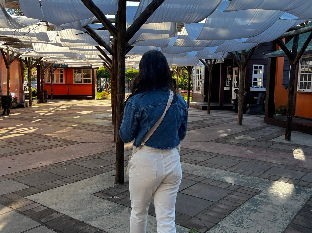 Praça das Etnias-格拉玛多必去景点