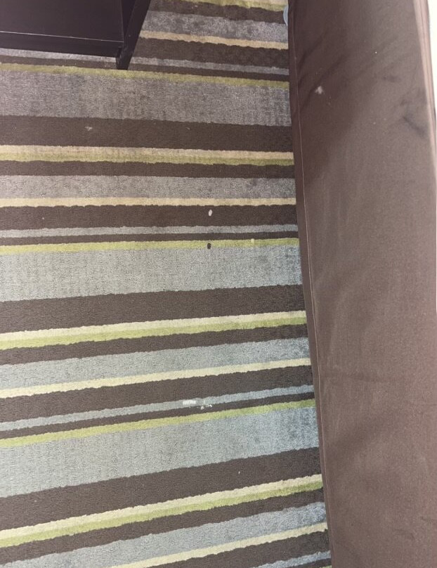 Super 8 by Wyndham Bridgeview/Chicago Area主图