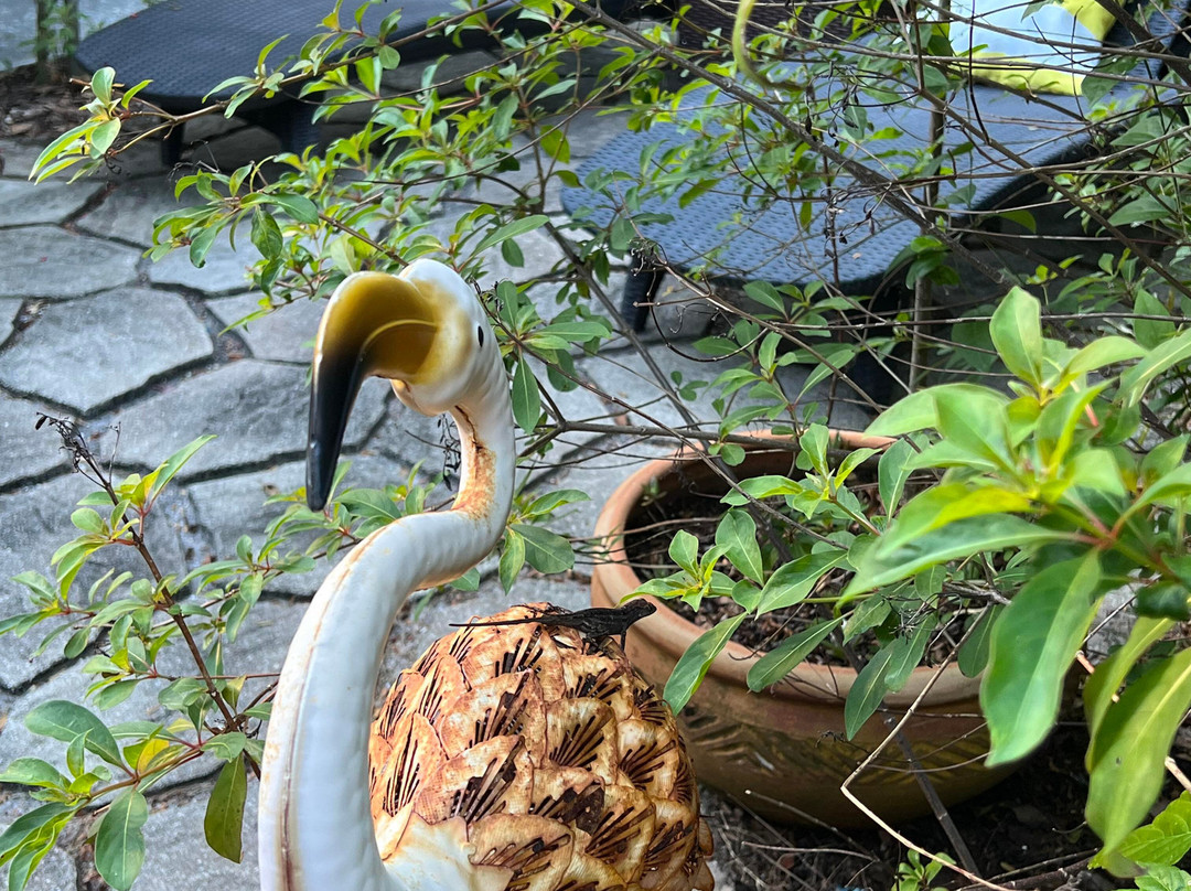 The Desoto Inn主图