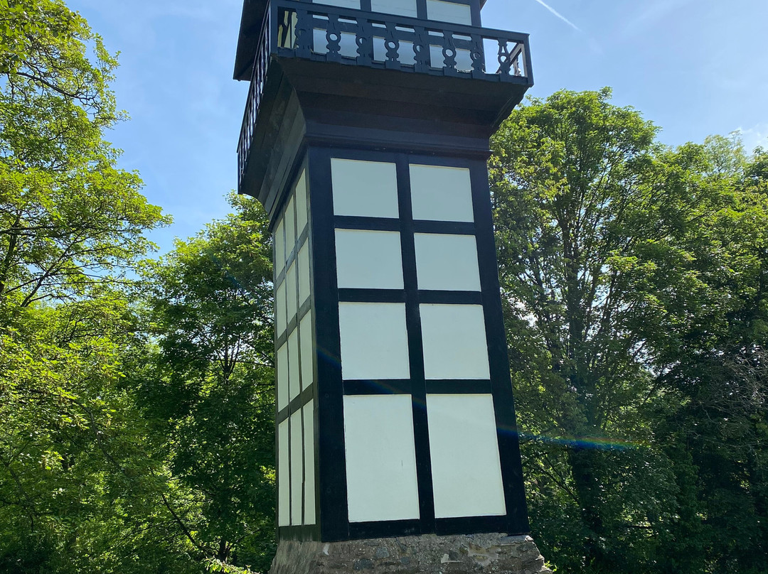 Plas Newydd House Museum and Tearooms景点图片