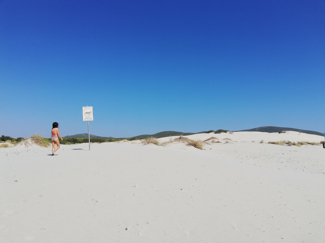 Le Dune Beach-Porto Pino必去景点