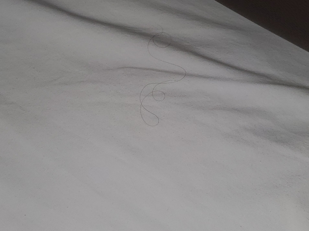 Best Western Plus Cambridge Hotel主图