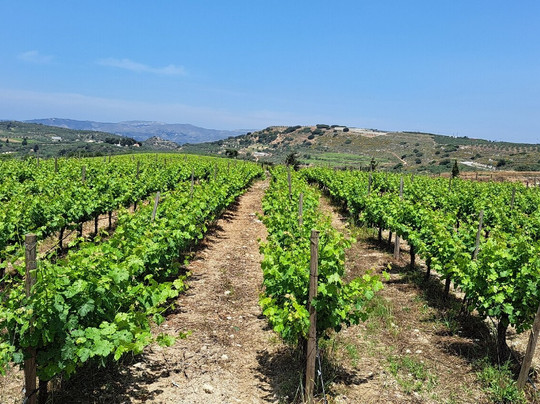 Tours in Heraklion-伊拉克利翁必去景点