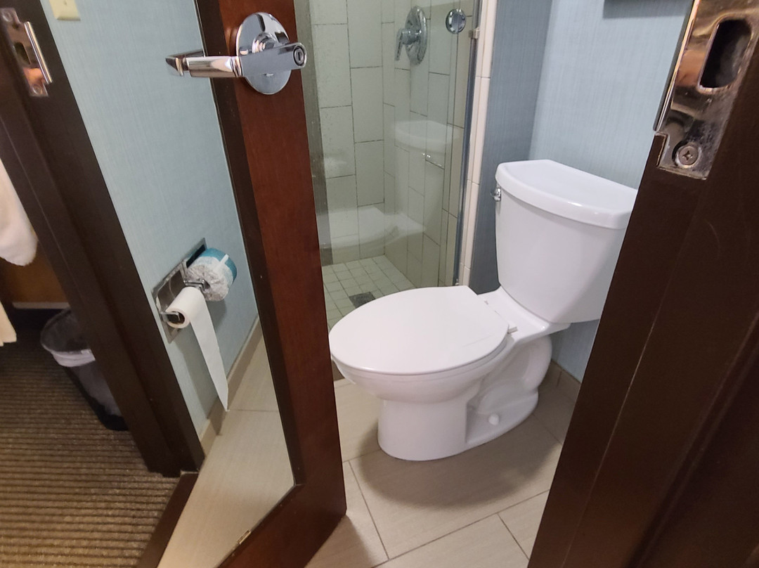 芝加哥/隆巴德君悦酒店主图