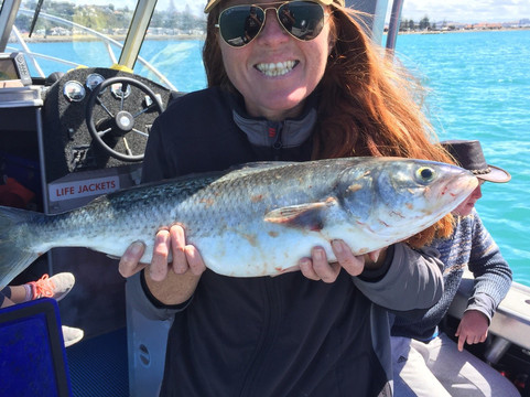 Rampant Charters-纳皮尔必去景点