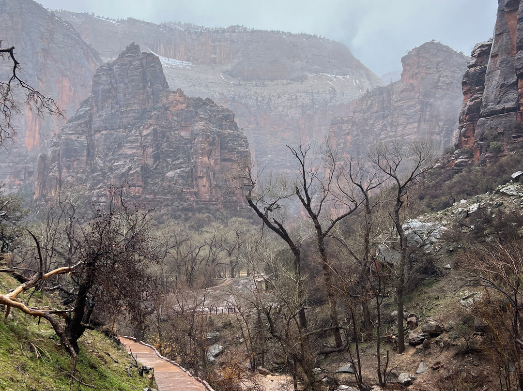 Zion's Main Canyon景点图片