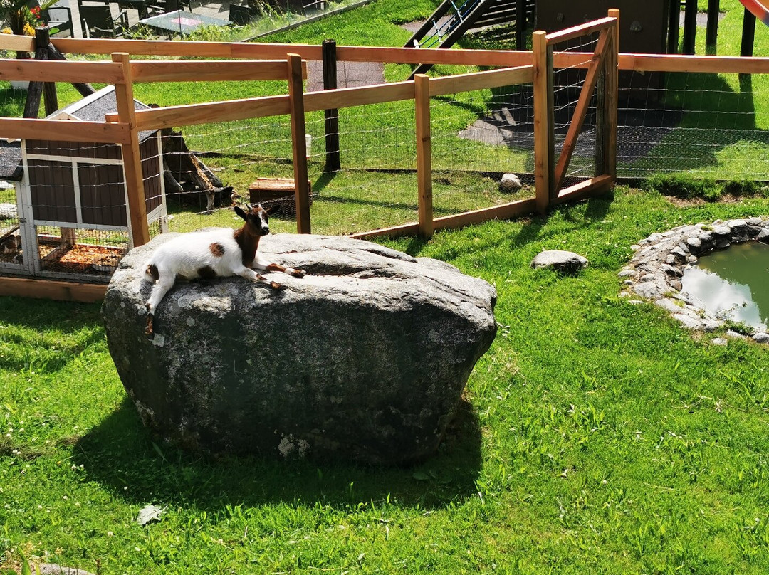 NationalPark Hotel Klockerhaus主图