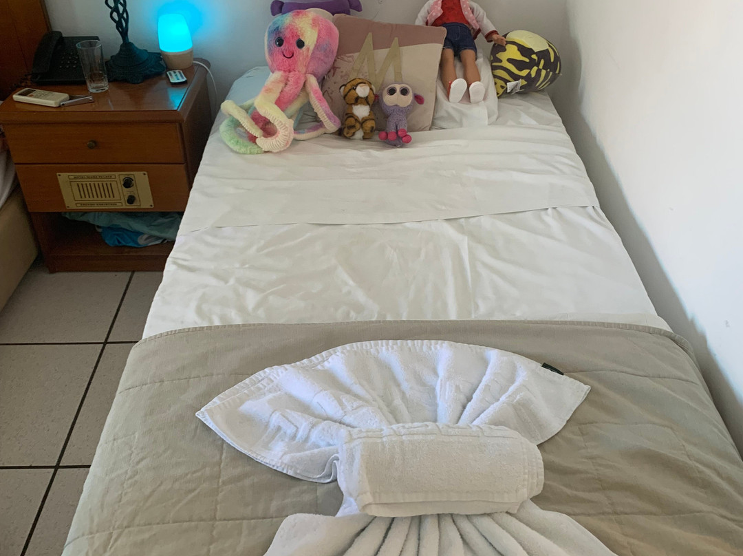 黛安娜皇宫酒店主图