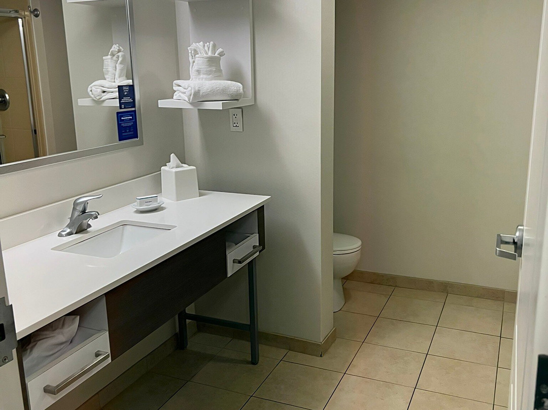 坦帕韦斯利礼拜堂希尔顿恒庭旅馆&套房酒店主图