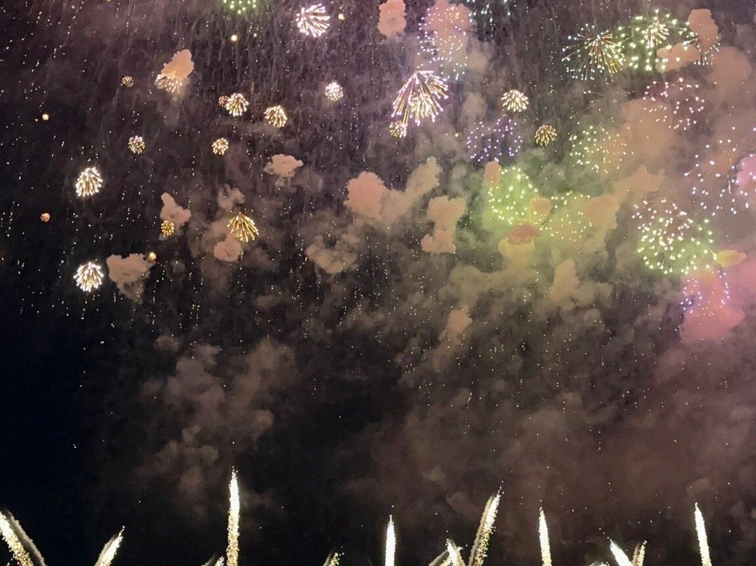 Nagaoka Festival Grand Fireworks-长冈市必去景点
