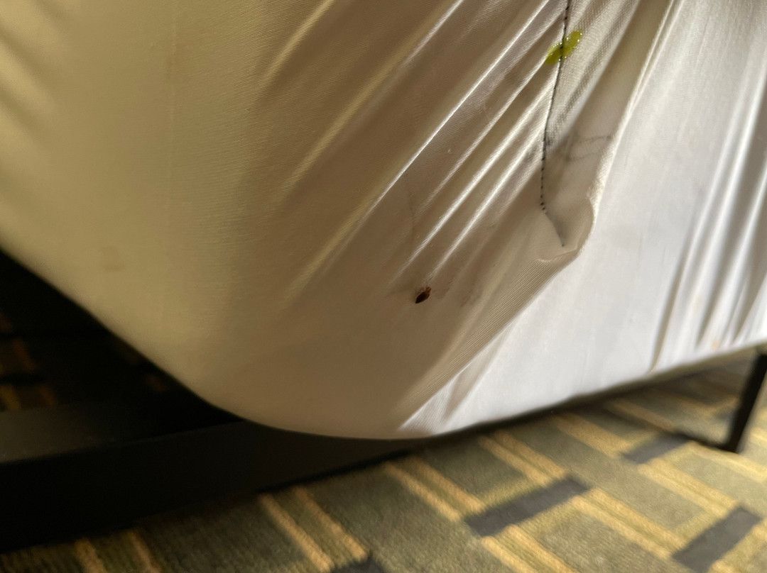 Fairbridge Inn & Suites Batavia - Darien Amusement Park主图