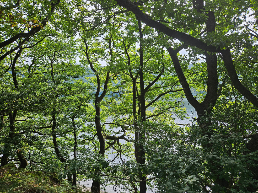 Coniston Water景点图片